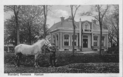 boerderij hannema hantum met paard
