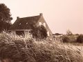 img   kopie