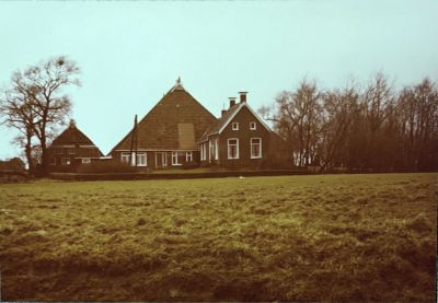 img   kopie