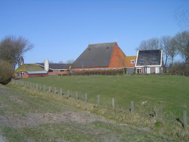 fen27b