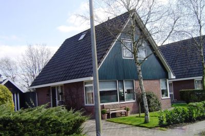 terp11