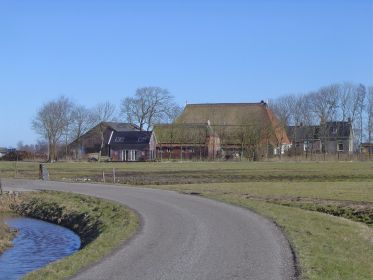 dw07d