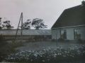 img   kopie
