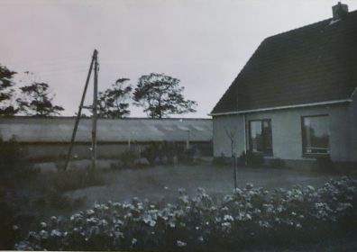 img   kopie