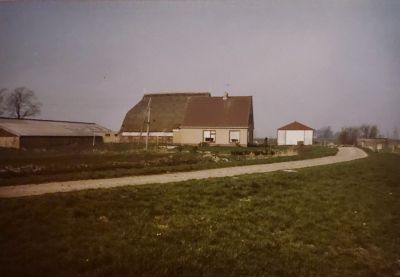 img 8724