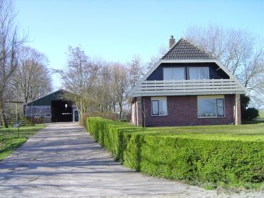 fen24b