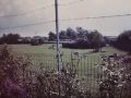 img 8739