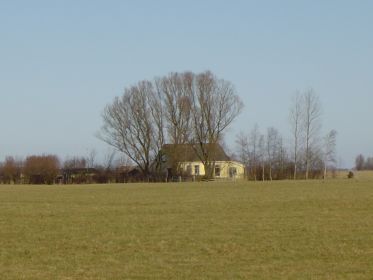 grienew1b