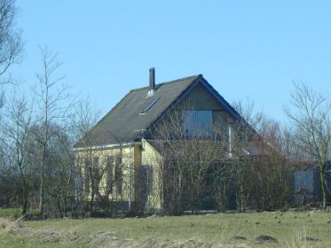 grienew1c
