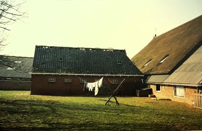 img   kopie