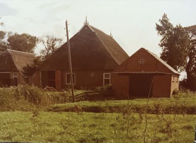 img   kopie
