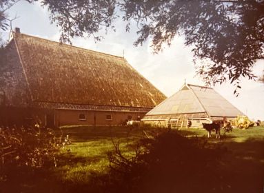 img   kopie