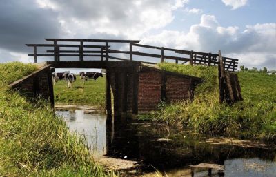 brug hiaure