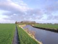 lytse lea