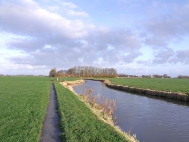 lytse lea