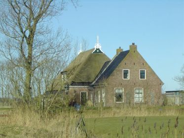 miedw2a