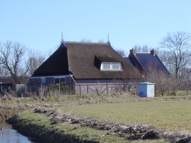 miedw2b
