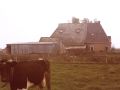 img   kopie