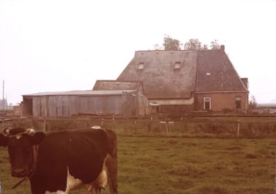 img   kopie