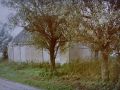 img 8877