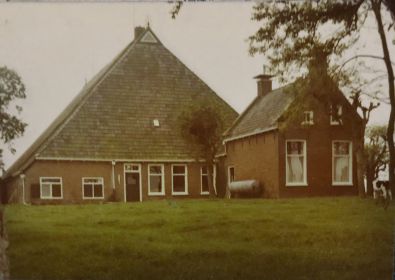 img   kopie