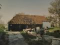 img 7576   kopie  